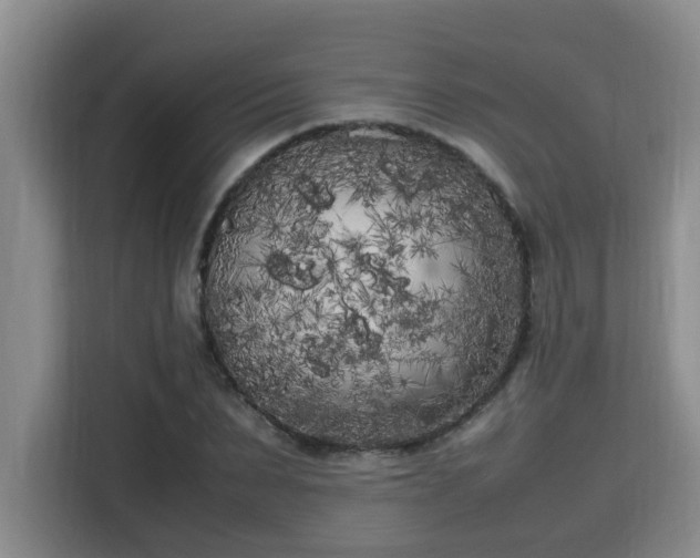 X0000115740879200911191443