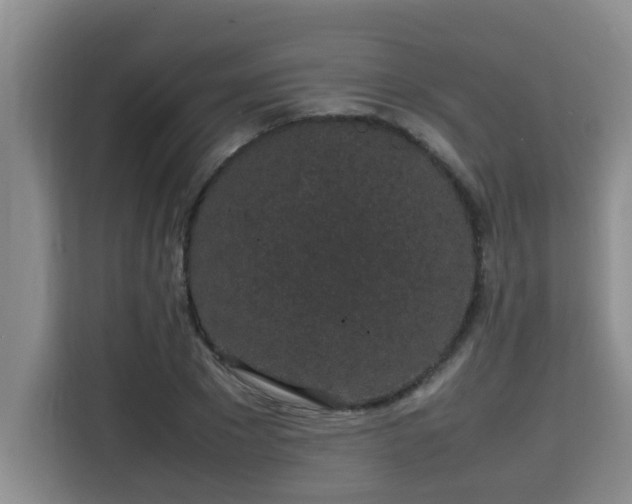 X0000115740881200911191443