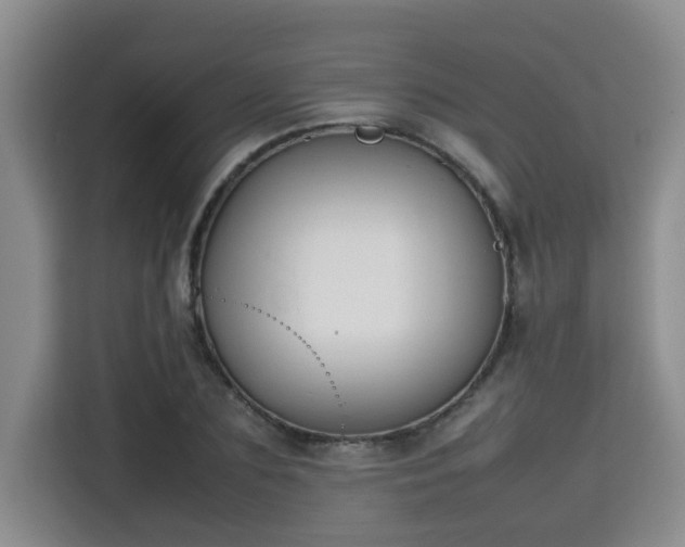 X0000115740883200911191443