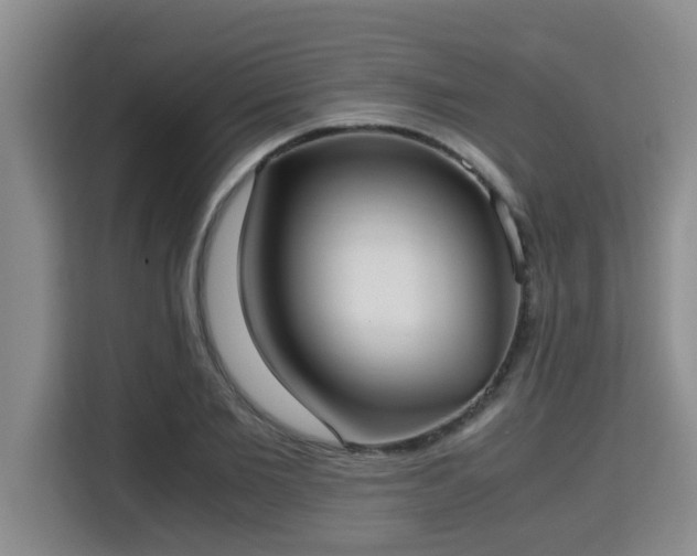 X0000115740885200911191443