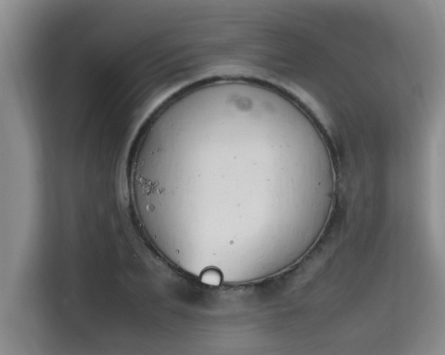 X0000115740887200911191443