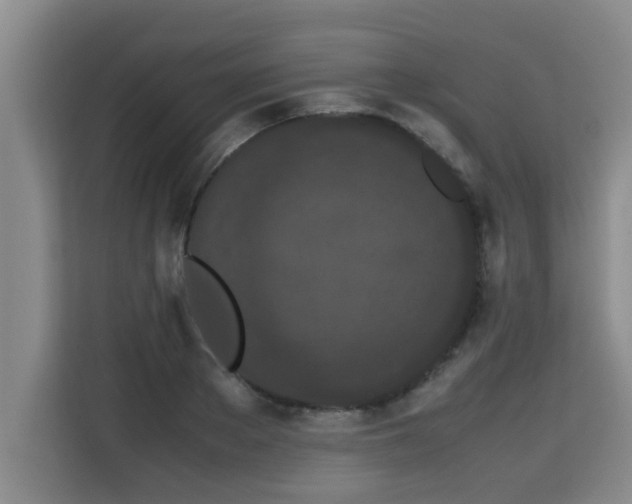 X0000115740889200911191443