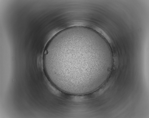 X0000115740890200911191443