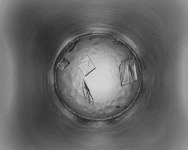 X0000115740891200911191443