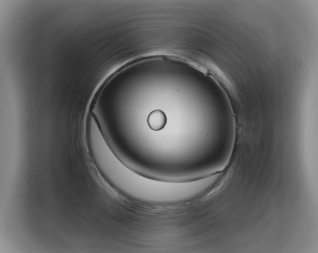 X0000115740892200911191443