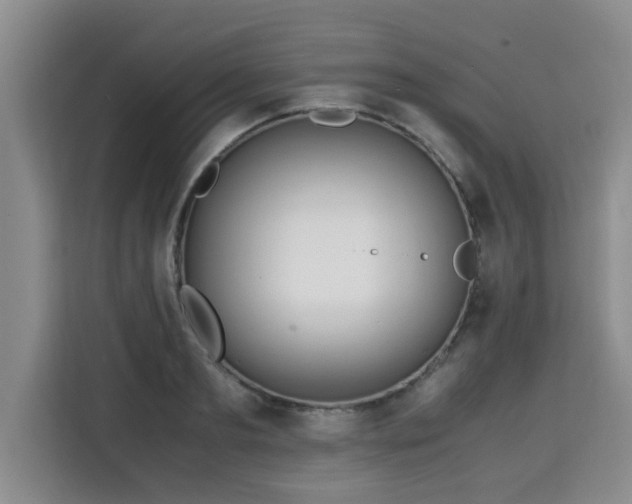 X0000115740893200911191443