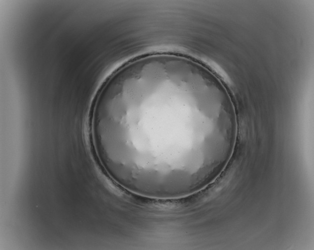 X0000115740895200911191443