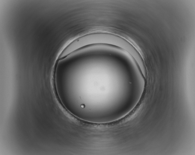 X0000115740901200911191443