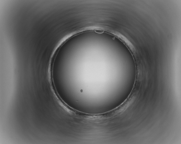 X0000115740902200911191443