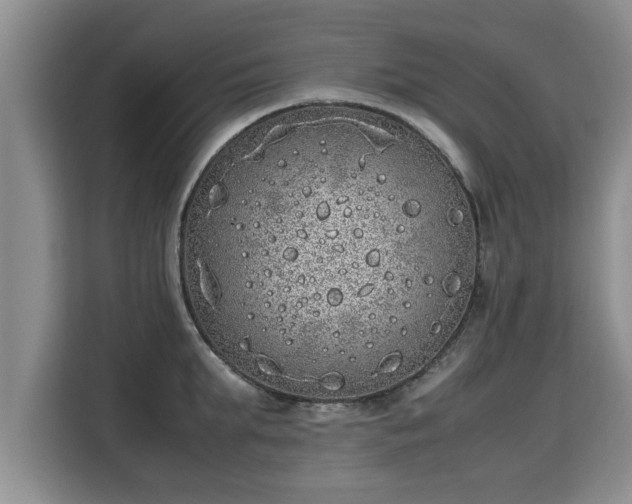 X0000115740903200911191443