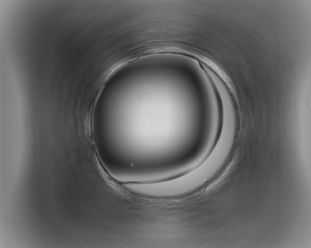 X0000115740905200911191443