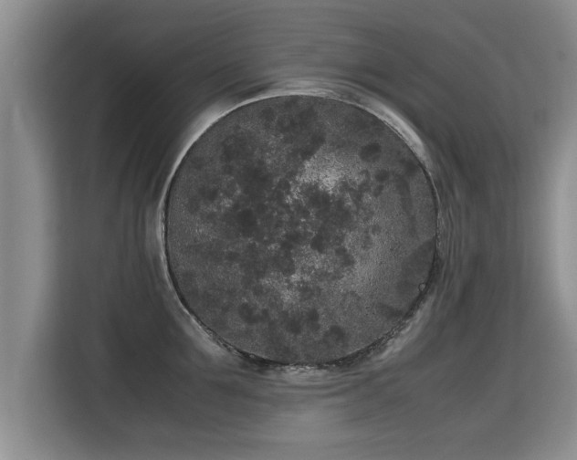 X0000115740907200911191443