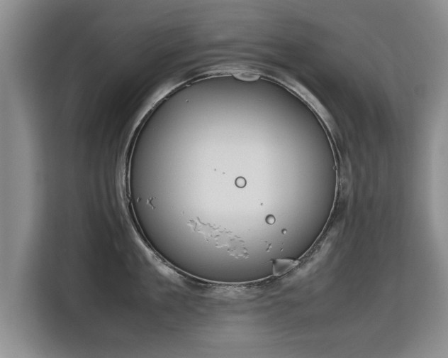 X0000115740909200911191443