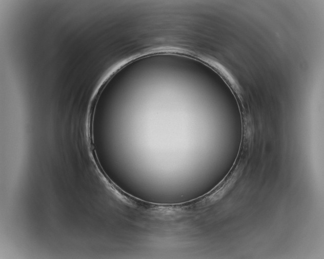 X0000115740910200911191443