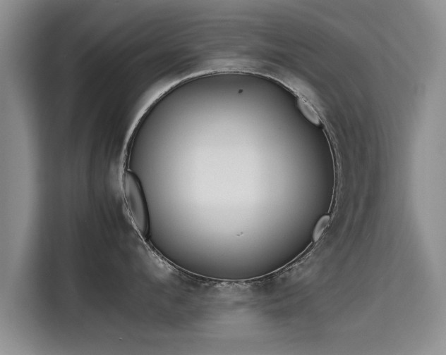 X0000115740912200911191443