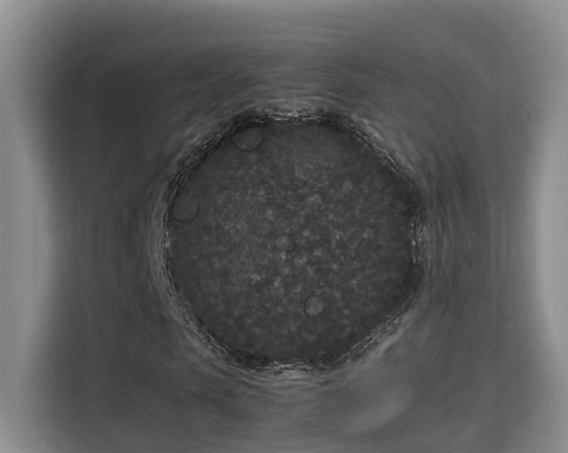 X0000115740913200911191442