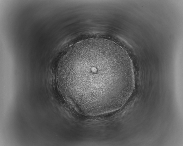 X0000115740917200911191442