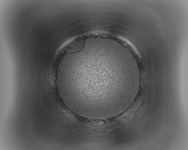 X0000115740919200911191442