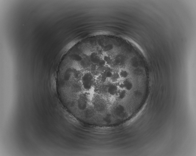 X0000115740921200911191442