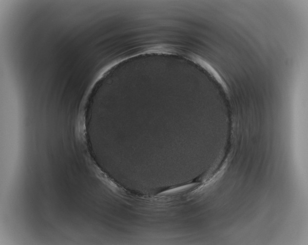 X0000115740923200911191442