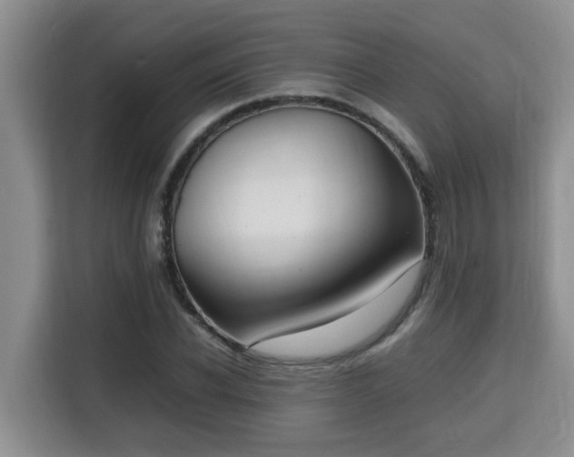 X0000115740926200911191442