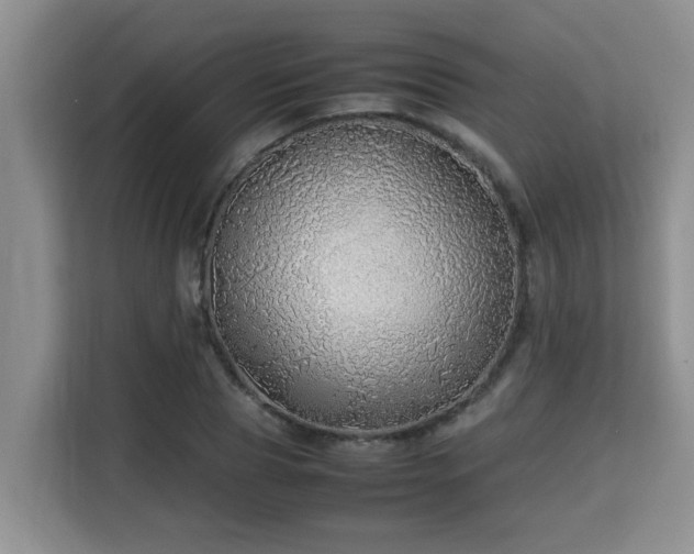 X0000115740929200911191442