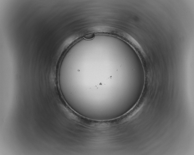 X0000115740930200911191442