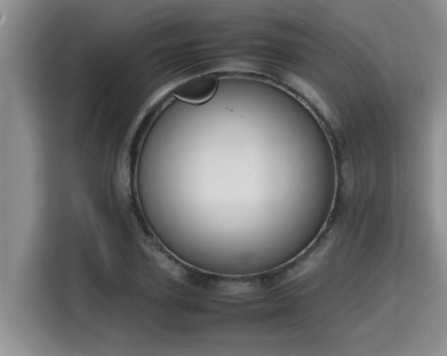 X0000115740931200911191442