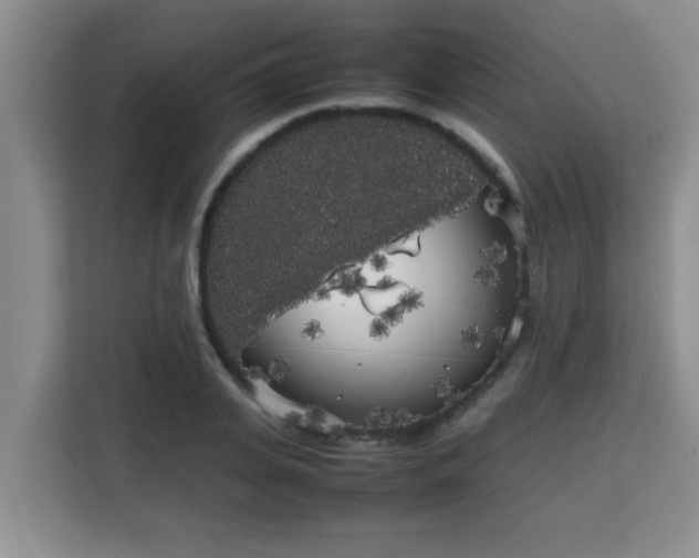 X0000115740935200911191442