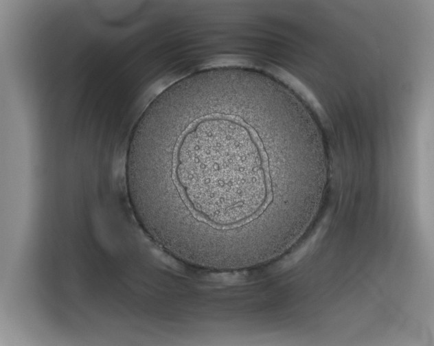 X0000115740937200911191442