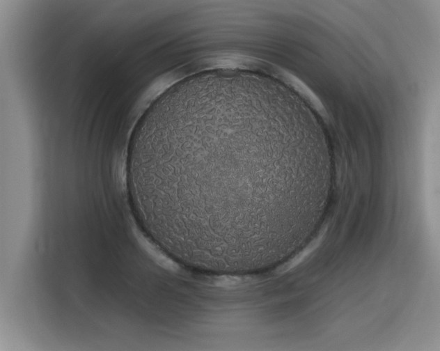 X0000115740938200911191442