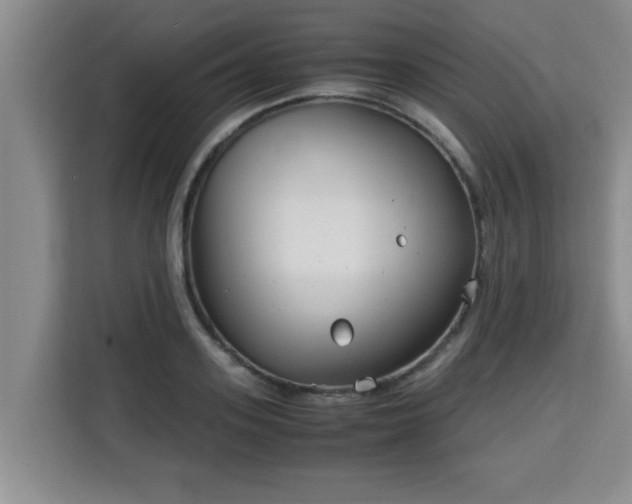 X0000115740939200911191442