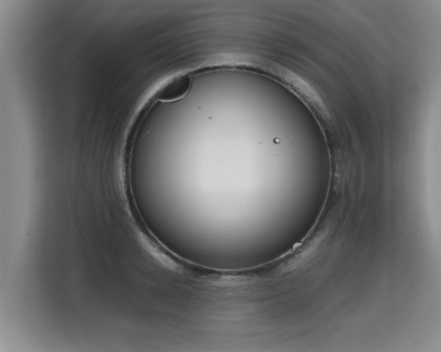 X0000115740942200911191442