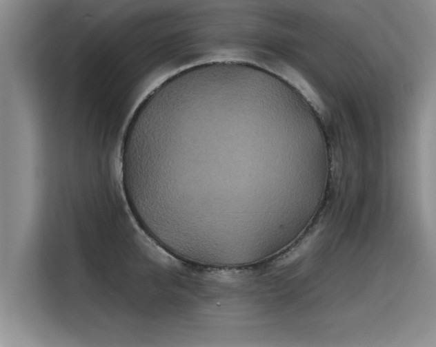 X0000115740950200911191442