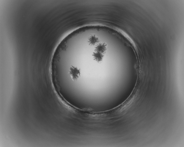 X0000115740951200911191442