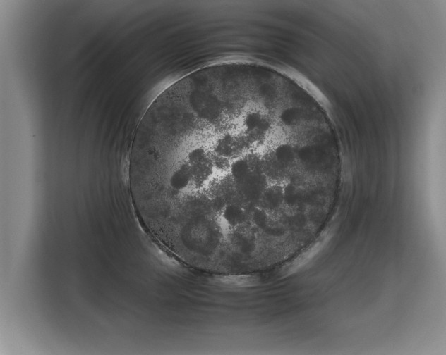 X0000115740953200911191442