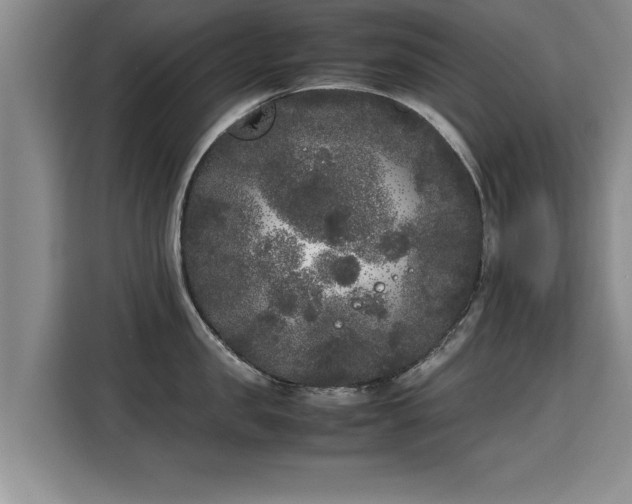 X0000115740957200911191442