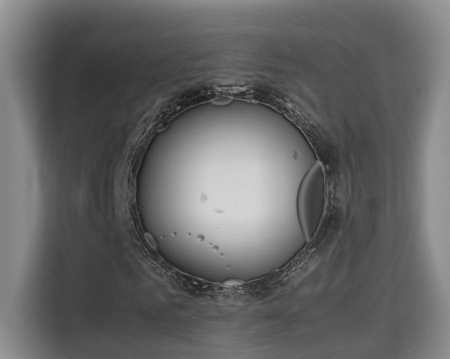 X0000115740961200911191442