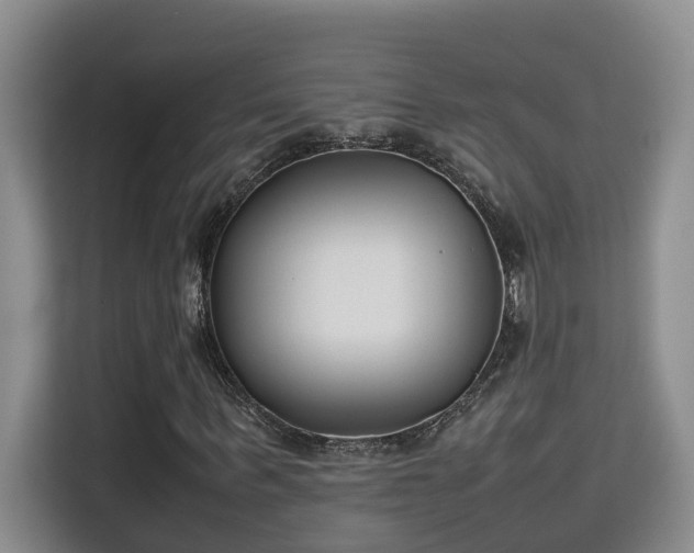 X0000115740963200911191442