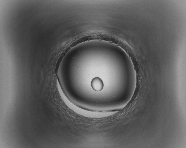 X0000115740965200911191442