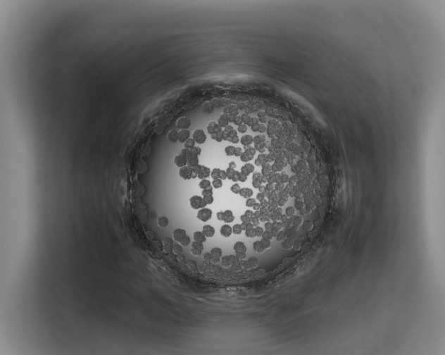 X0000115740966200911191442