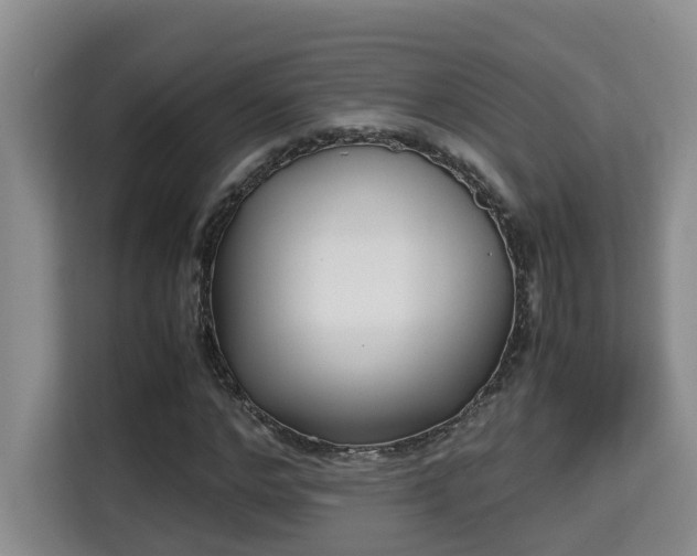 X0000115740968200911191442