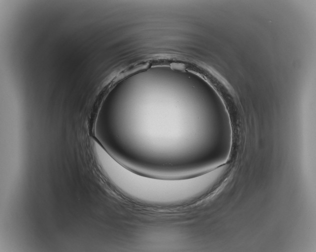 X0000115740969200911191442