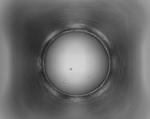 X0000115740970200911191442