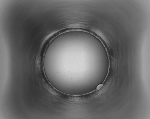 X0000115740971200911191442