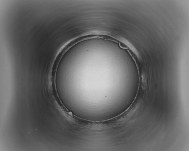 X0000115740972200911191442