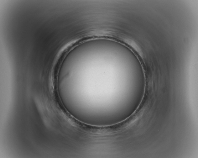 X0000115740979200911191442