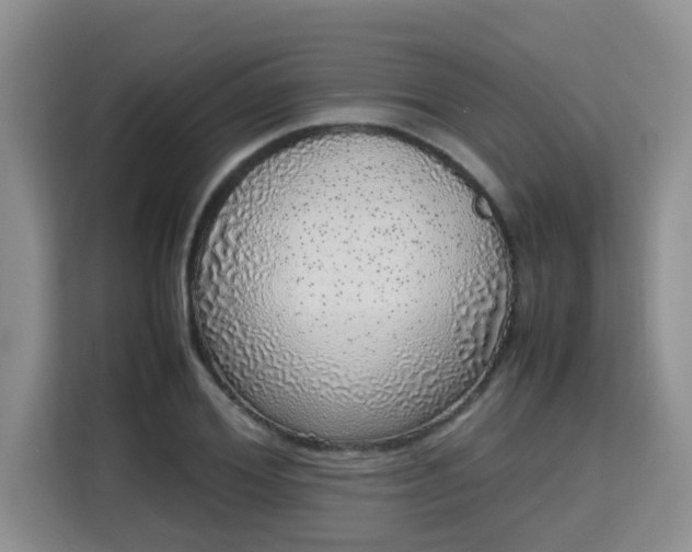 X0000115740980200911191442