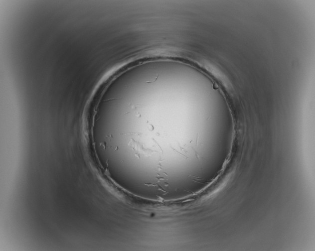 X0000115740981200911191442