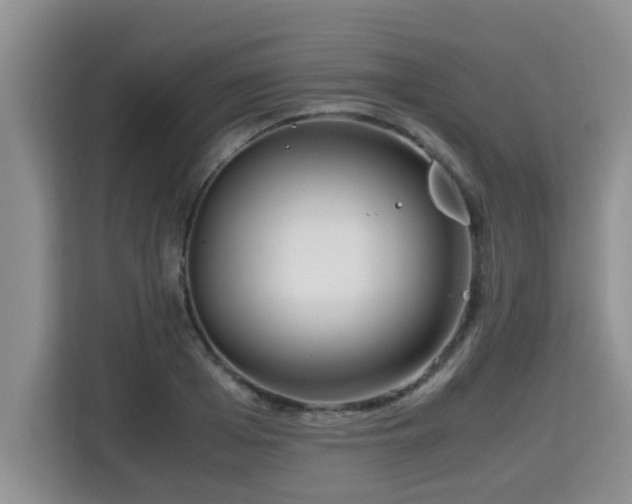 X0000115740985200911191442